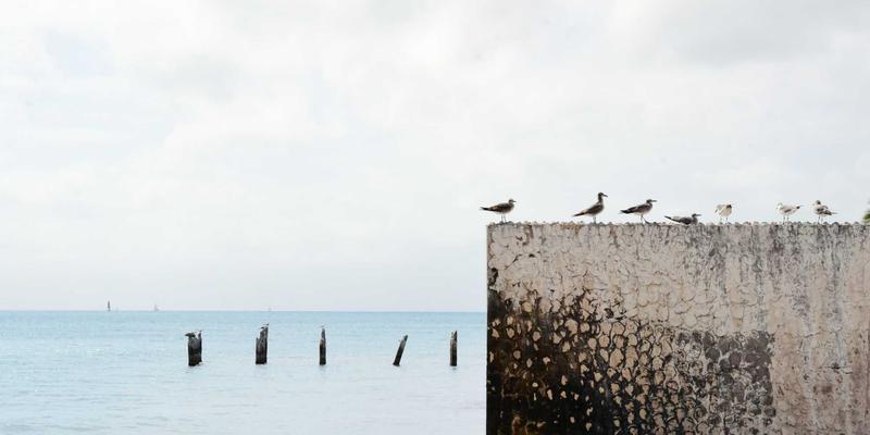 决胜欧美市场：北京出口包装标准深度解读，木托盘与重型纸箱合规设计全攻略