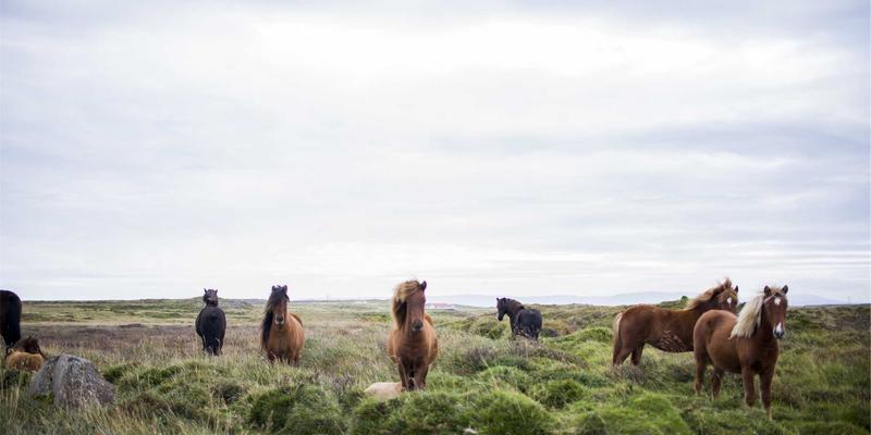 北京出口包装如何征服全球市场?三大关键:文化适配、法规合规与物流优化