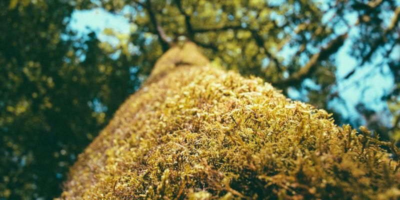 北京包装印刷新浪潮：小批量、个性化彩盒标签的按需印刷解决方案