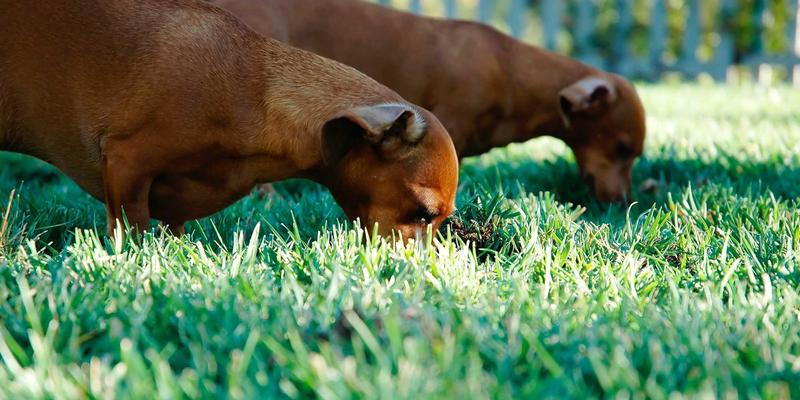 北京包装色彩管理全攻略:从设计到印刷,如何确保品牌色彩“零色差”