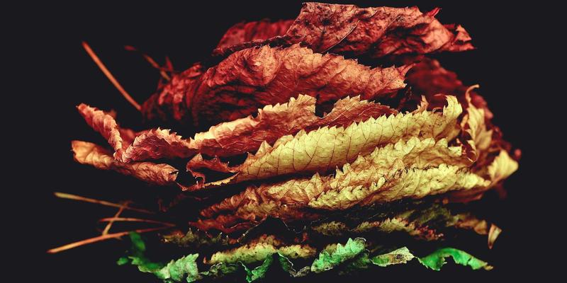 北京包装行业碳中和路径:纸箱定制企业如何通过碳足迹核算与绿色创新实现减排