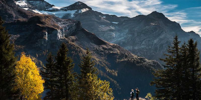 北京包装设计公司哪家专业?深度解析纸箱定制与包装材料的核心选择标准