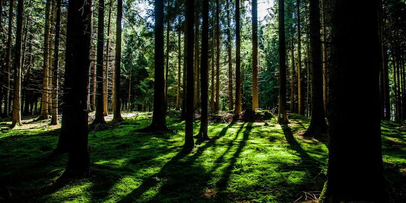 北京医疗器械包装验证服务:无菌屏障与运输包装的定制化解决方案,如何通过专业包装设计与标签印刷保障产品安全与合规