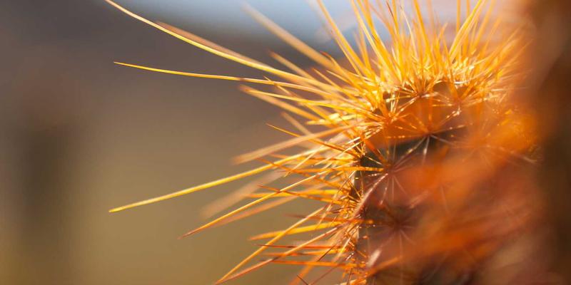 北京医药包装GMP认证全解析:从包装设计、纸箱定制到彩盒印刷的合规指南