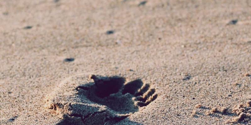 北京环保包装解决方案：如何通过标签印刷与材料创新，打造绿色品牌竞争力