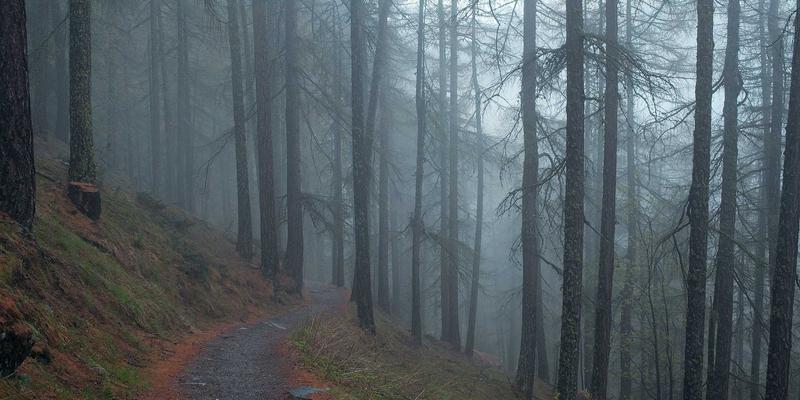 北京预制菜包装新纪元：锁鲜科技、微波友好与绿色材料的融合革命