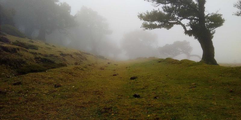 工业设备运输包装终极指南：北京重型纸箱定制与木箱包装的深度对决