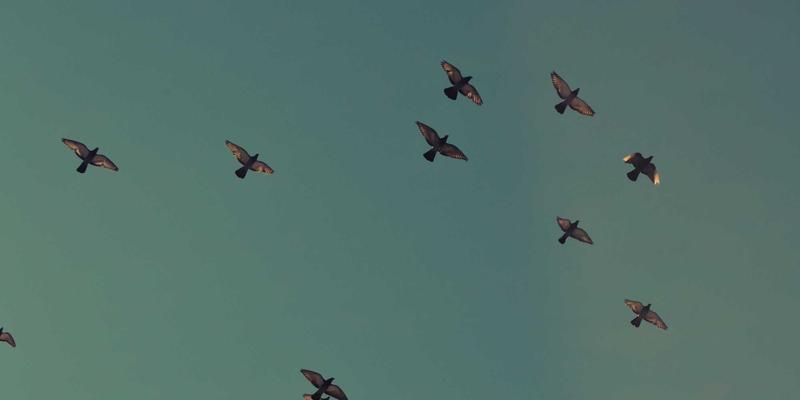 破局之路:北京包装业中小企业如何借力绿色金融与供应链金融破解融资困局